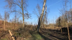 Biodiversiteit N230 bomen