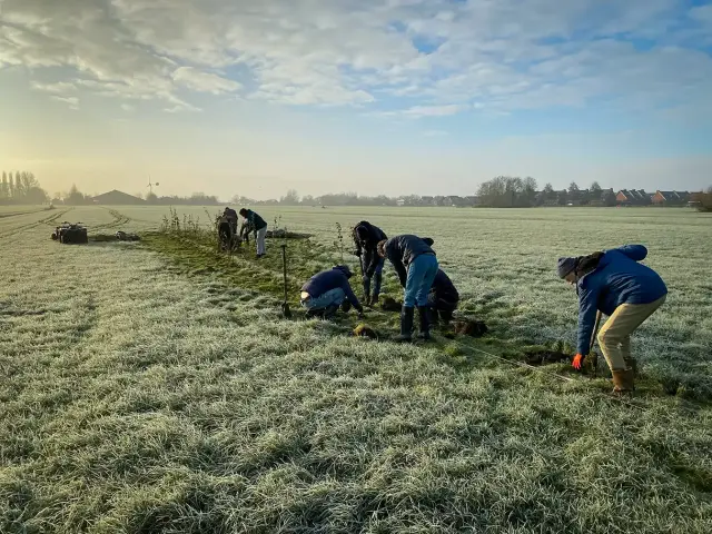 Bomen planten voor natuur in de weilanden