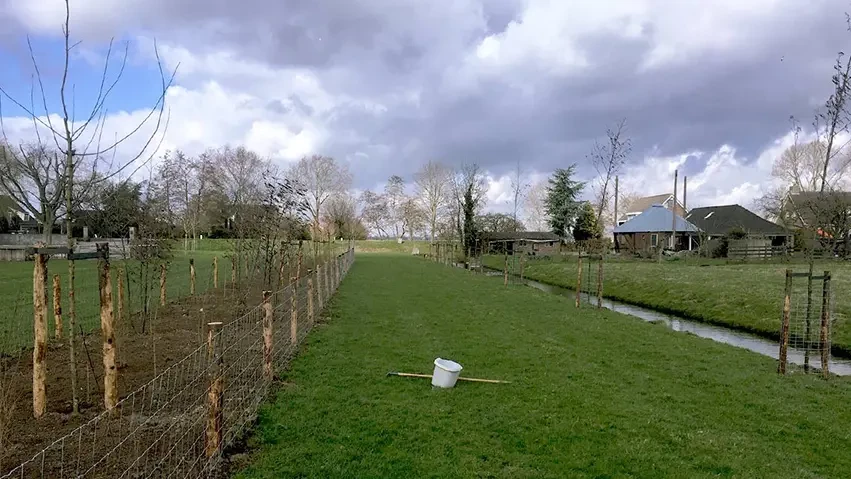 Gewone natuur bij u