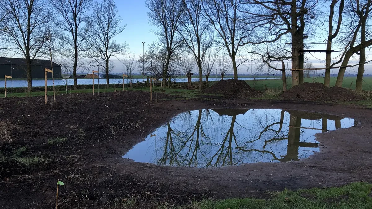 Landschapsplannen poel